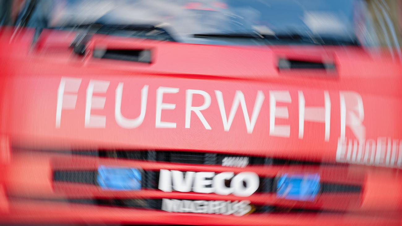 Brände: Feuer im Rostocker IGA-Park auf mehreren Hektar