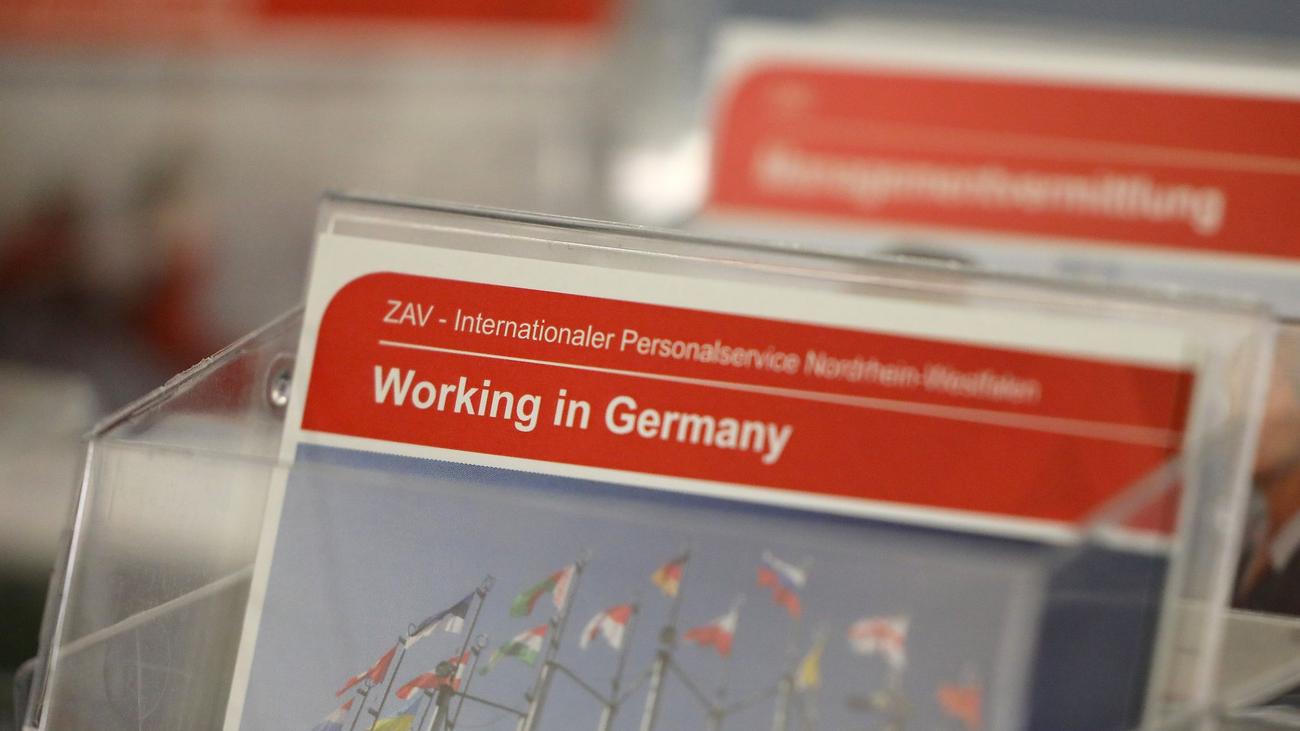 Arbeit für Ausländer: Grüne: Zugang für Ausländer zu Arbeitsmarkt gleicht Lotterie