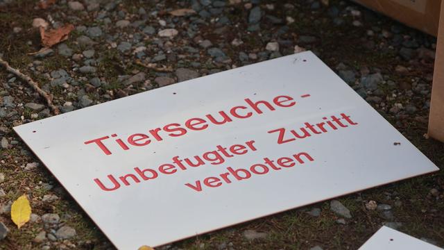 Tierseuche: Newcastle-Krankheit auch im Kreis Erding