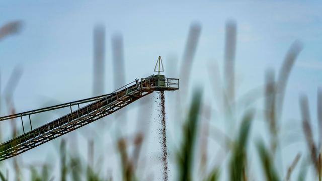 Wald: Hessen lockert Regeln für Sand- und Kiesabbau im Bannwald