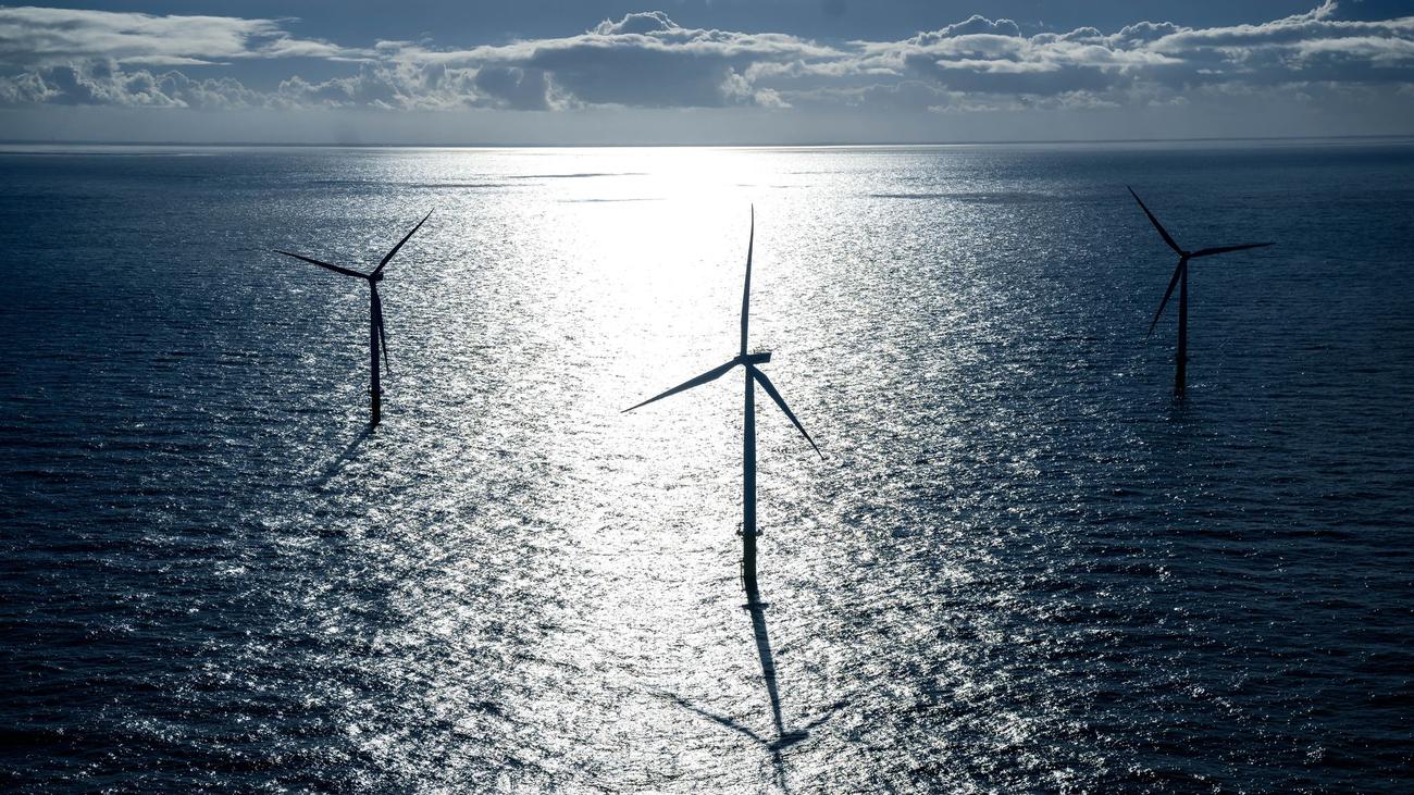 Nordsee: Offshore-Windbranche fordert Regel für Flächenrückgabe