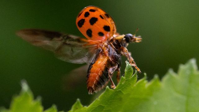 Fotografie: Bilder des Tages