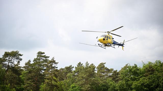 Bekämpfung aus der Luft: Hubschrauber versprüht Biozid gegen Eichenprozessionsspinner