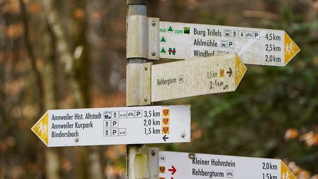 Rettungsaktion: 83 Jahre alter Wanderer nach Sturz im Pfälzerwald gerettet