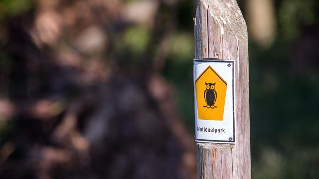 Naturschutz: Pfingsten im Grünen – was dabei zu beachten ist