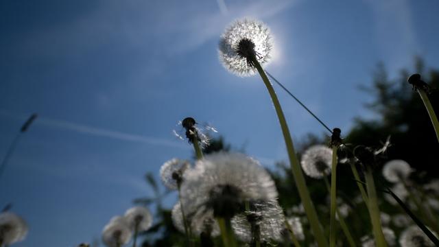 Wetter in Bayern: Sonniger Vorgeschmack auf Sommer