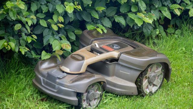 Igelschutz: Mähroboter nur noch tagsüber? Wo Regeln gelten