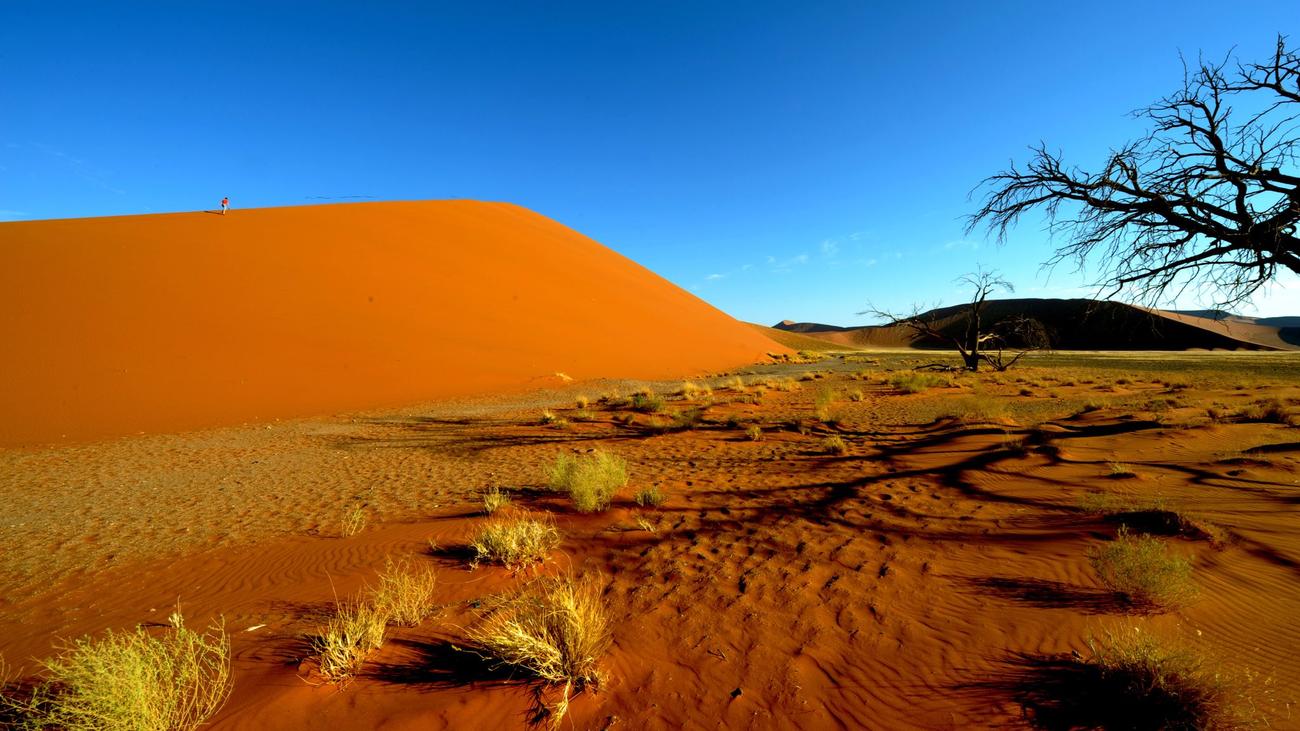 Vier Tote bei Flugzeugunglück: Namibia: Ermittler suchen weiter nach Ursache von Absturz