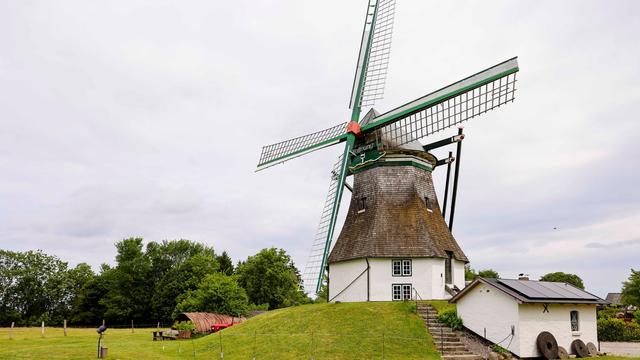 Deutscher Mühlentag: Pfingsten an der Mühle - Schaumahlen, Brotbacken und Musik
