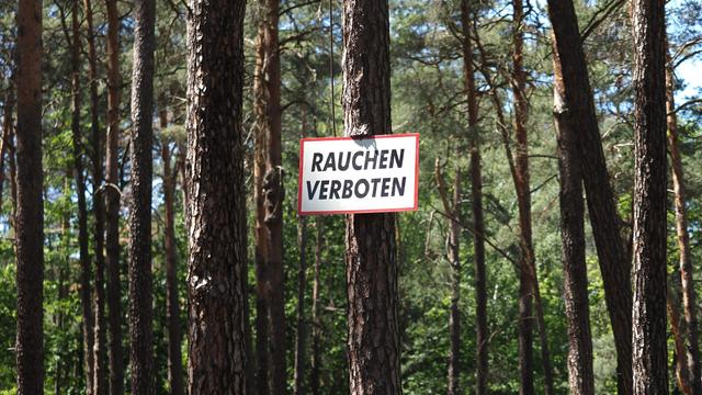 Waldbrandschutz: Sommerwetter erhöht Waldbrandrisiko - Was verboten ist