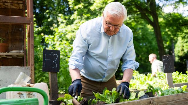 Grundgesetz und Ehrenamt: Steinmeier zum Grundgesetztag: Demokratie braucht Tatkraft