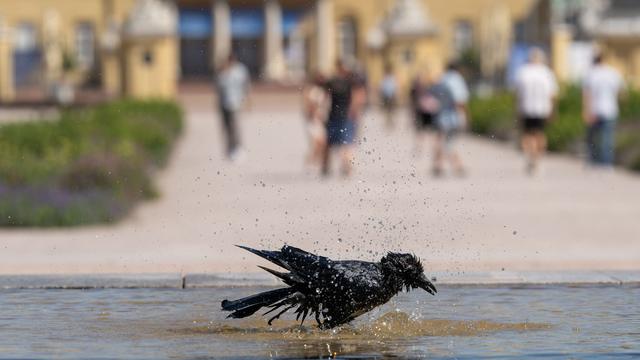 Wetter: Bisher wärmster Tag des Jahres – hier lohnt Abkühlung