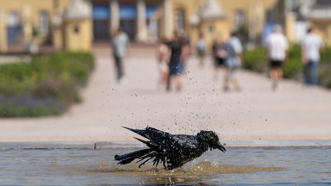 Wetter: Bisher wärmster Tag des Jahres – hier lohnt Abkühlung
