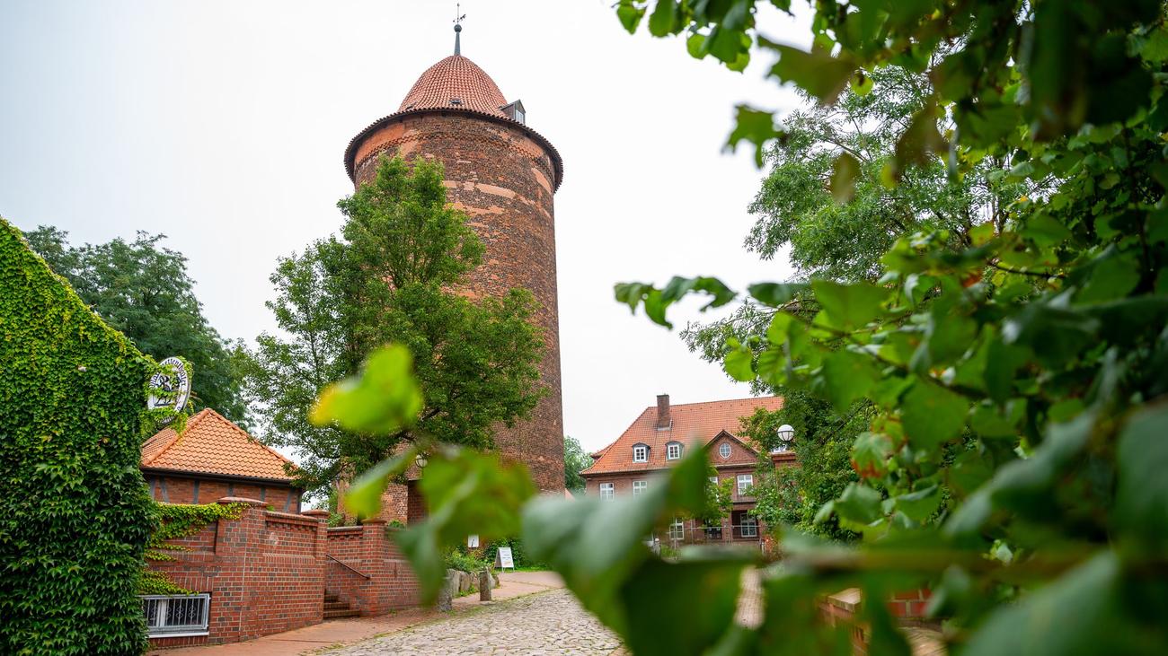 Nordeuropäische Geschichte: Dannenbergs Waldemarturm: Kein Gefängnis, aber tolle Schau