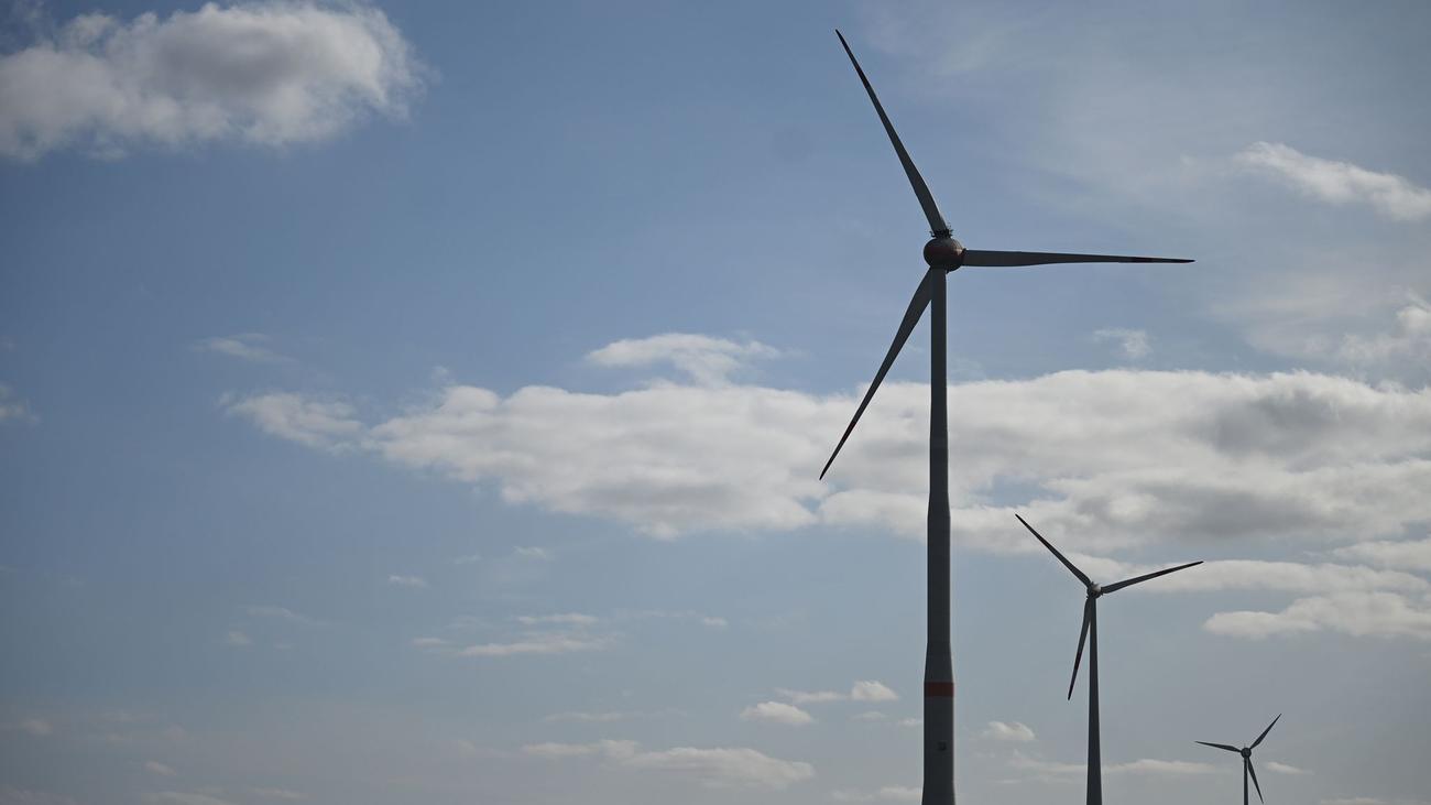 Erneuerbare Energien: Energieverbände sehen Windkraftausbau gefährdet