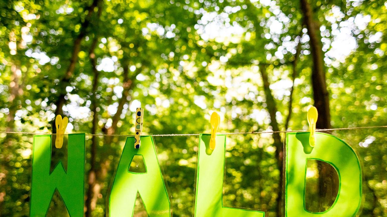 Risiko steigt: Höhere Waldbrandgefahr im Süden Thüringens