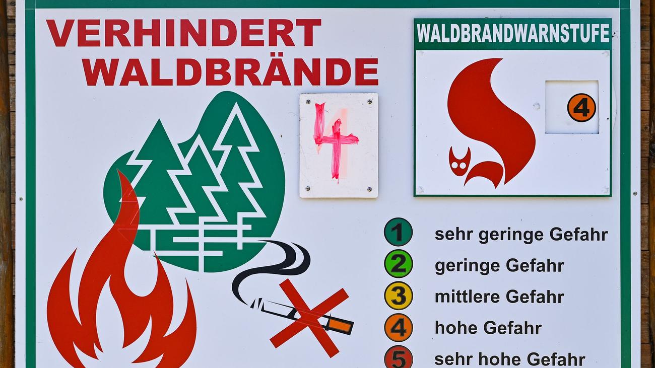 Wetter: Hohe Waldbrandgefahr im Süden Brandenburgs