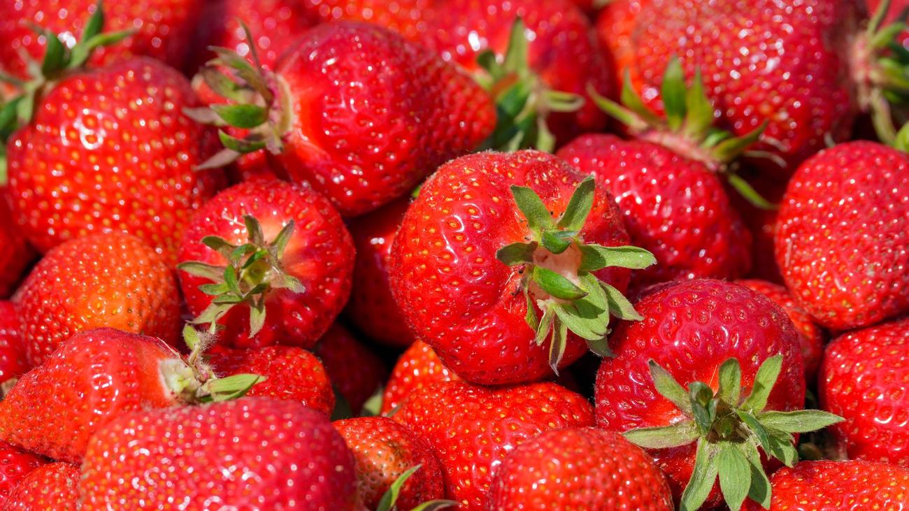 Erdbeer-Diebstahl: Kisten mit Erdbeeren aus Verkaufsstand in Lübben gestohlen