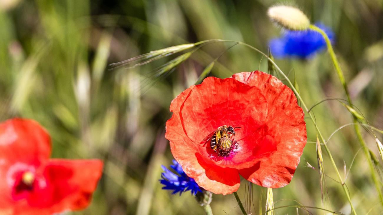 Fotografie: Bilder des Tages