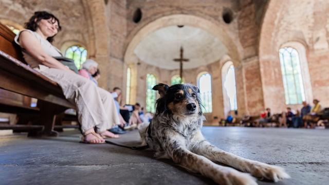Tierliebe: Gottesdienst in Berlin: Ein Segen für den Lieblingshund
