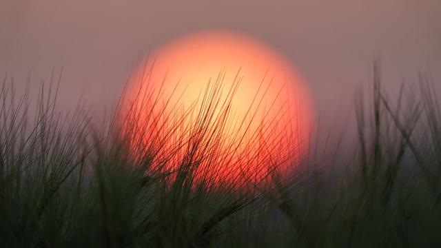 Frühsommer geht weiter: Nach Pfingsten bleibt es sonnig, im Norden kühler