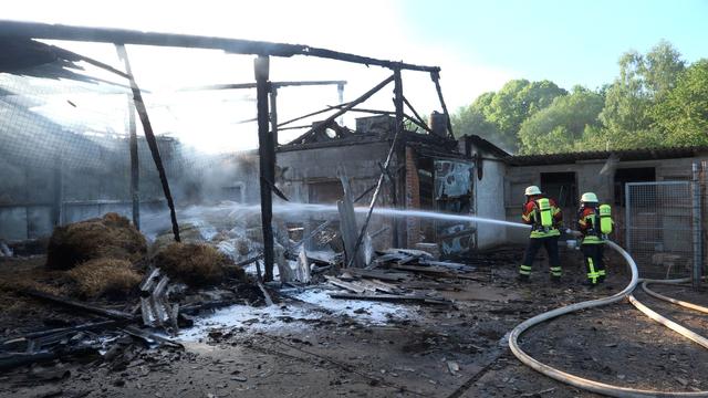 Brand auf Geflügelhof: Tausende Hühner sterben bei Feuer im Saarland