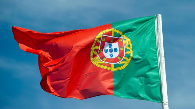 Bild: Schadenersatzforderung: Zug tötet in Portugal 89 Schafe - und Schäfer sollen zahlen