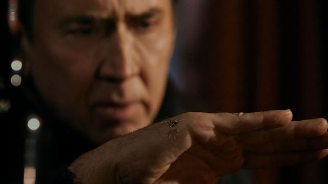 Neue Serie «Spider-Noir»: Comic trifft Krimi: Nicolas Cage als alternder Spider-Man