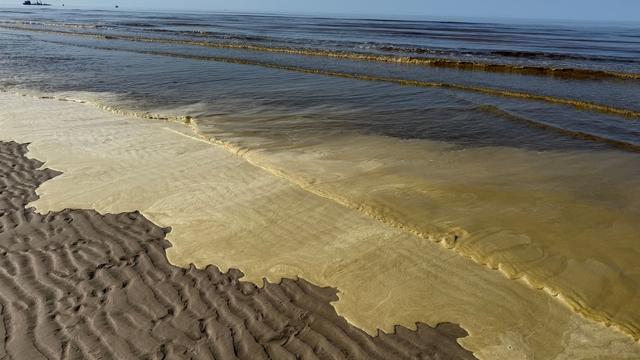 Algen an Inselstrand: Brauner «Schnodderkram» vor Norderney - das steckt dahinter