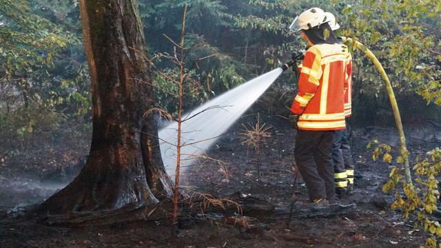 Wetter: Kühler, aber nicht sicherer: Warum der Wald brennen könnte