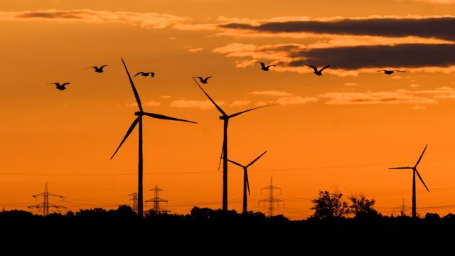Wind, Solar und Biogas: Landtag diskutiert über Zukunft der Energiewende