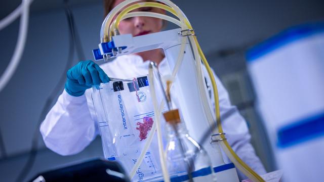 Lebensmittelkontrollen: Zu wenig Kontrolleure: Bayerns Lebensmittelcheck lückenhaft?