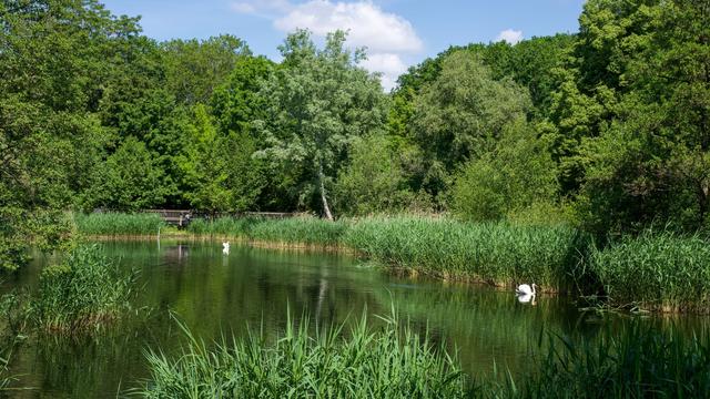 Wetter: Erst Sonne dann Gewitter in Berlin und Brandenburg