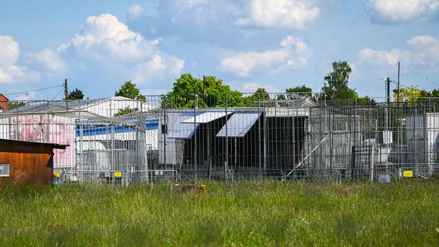 Nach Tigerausbruch: Ungewisse Zukunft für Raubkatzen nach Tiger-Ausbruch