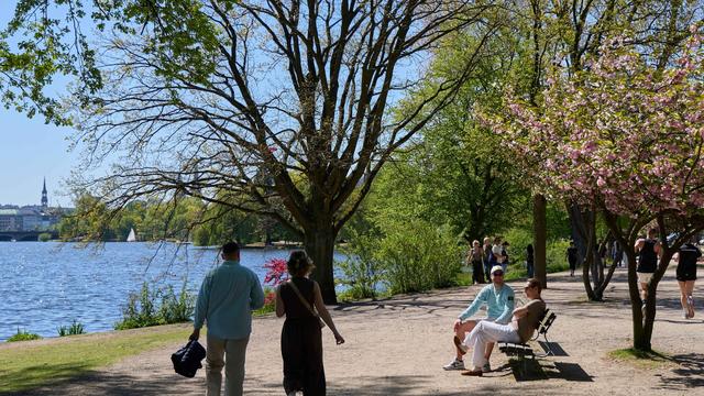Frühlingsbilanz: Weniger Regen, Sonne satt: Sommerlicher Frühling im Norden