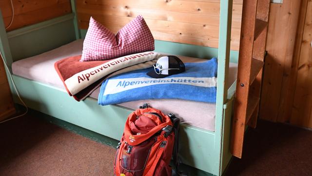 Ungeziefer: Bettwanzen auf dem Vormarsch - auch in Berghütten