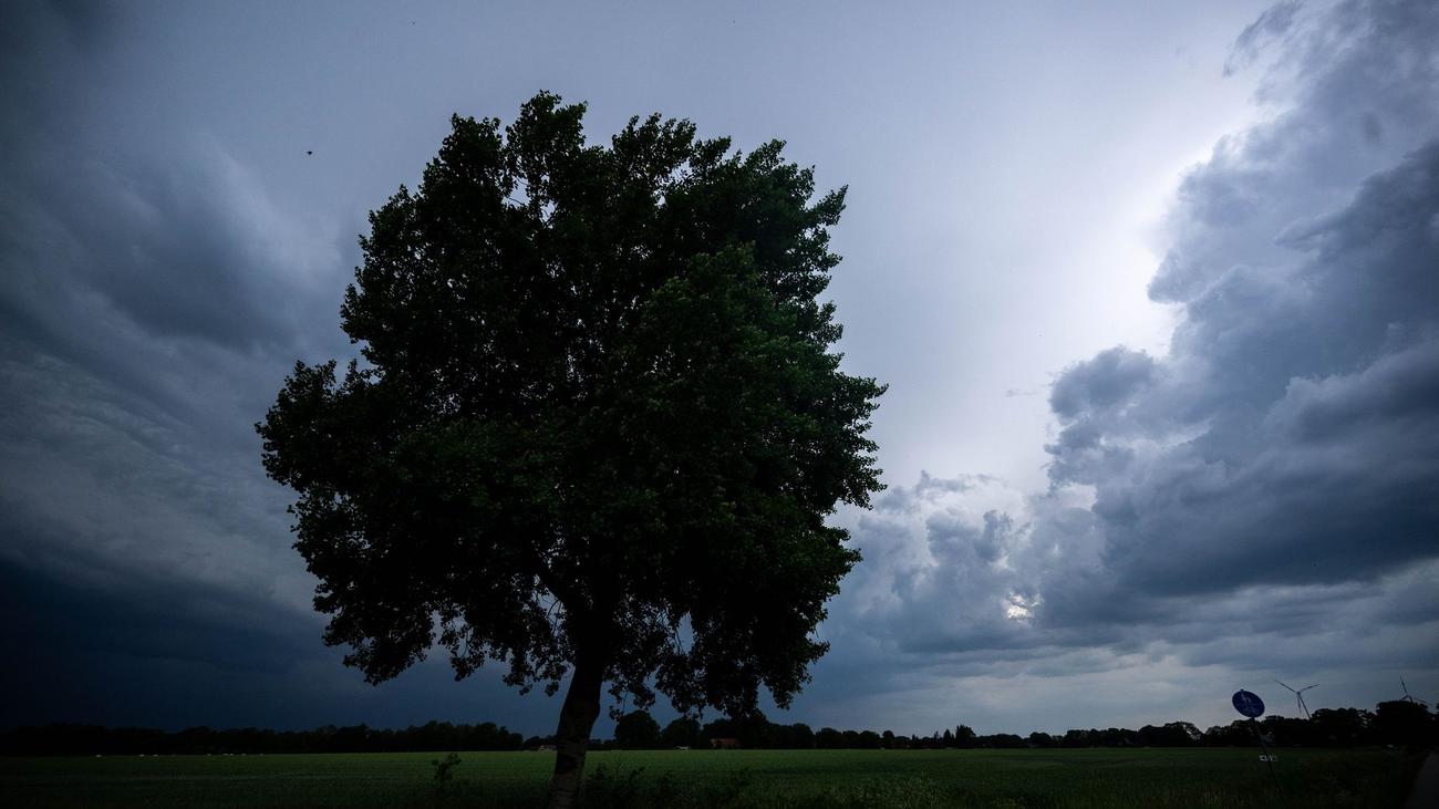 Fotografie: Bilder des Tages
