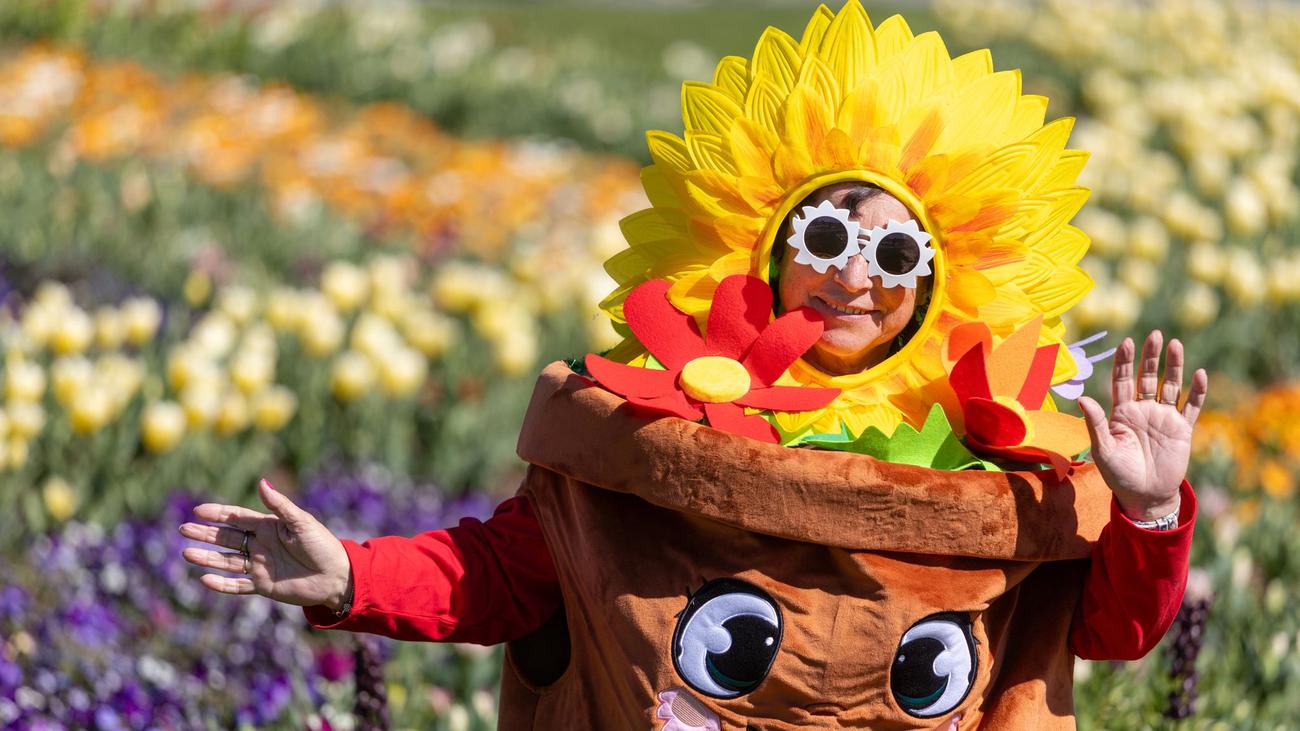 Schulgarten-Tradition: Landesgartenschau: Thüringen wirbt für Grüne Berufe