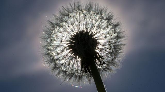 Wetter: Sonne-Regen-Mix: Wechselhaftes Wetter im Norden