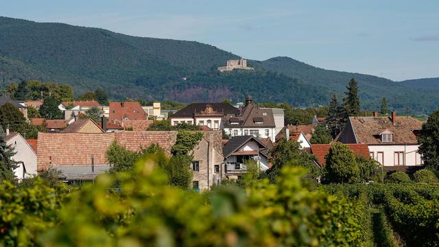 Feier mit Tradition: Steinmeier eröffnet Demokratiefest in der Pfalz