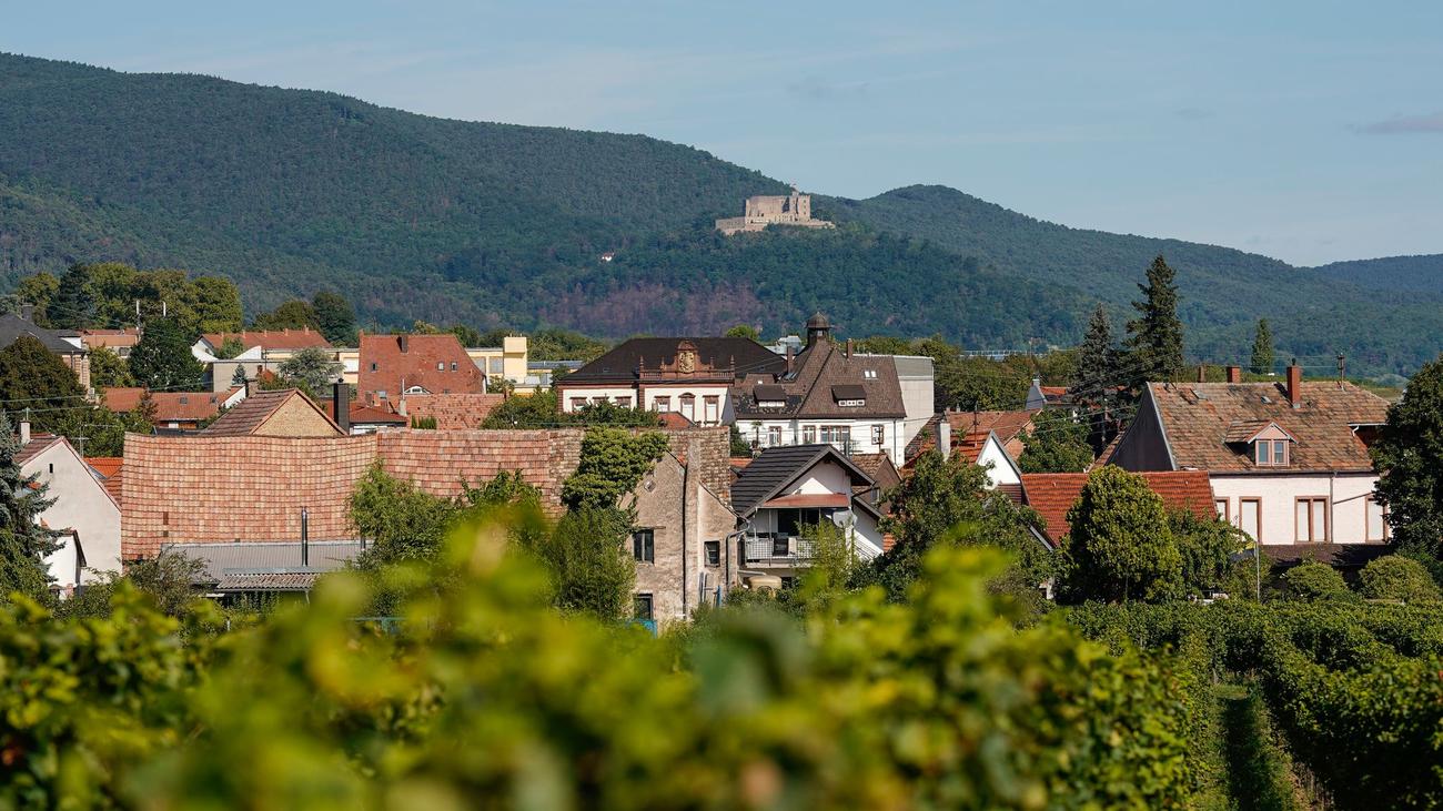 Feier mit Tradition: Steinmeier eröffnet Demokratiefest in der Pfalz