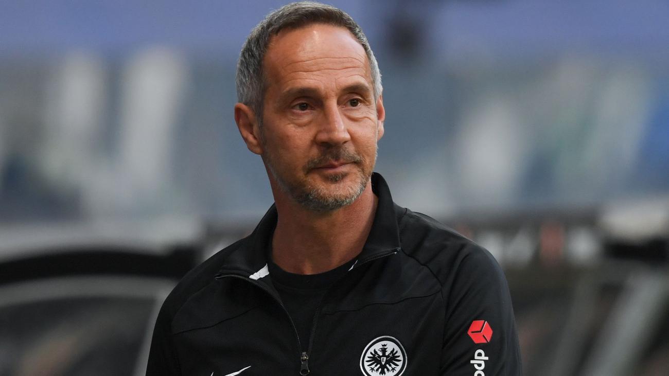 Bundesliga: Hütter-Comeback als Eintracht-Trainer perfekt