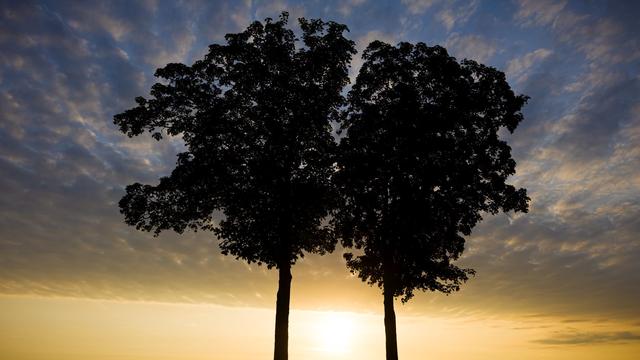 Wetter: Lokale Unwetter am Sonntag möglich
