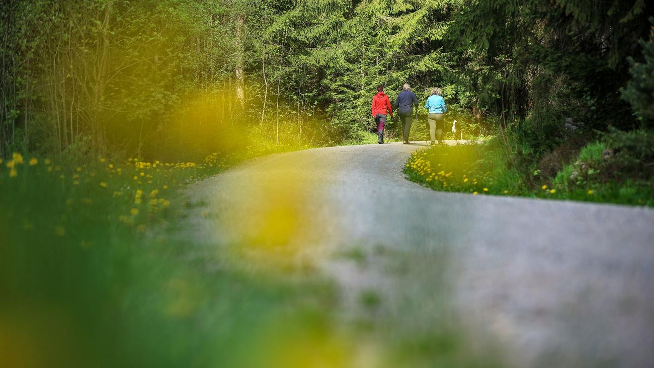 Wandern: Reichenbach ist 2027 Gastgeber des Sächsischen Wandertages