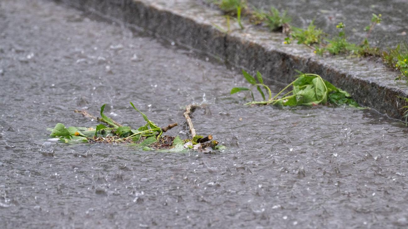 Wetterbericht: Sonntag wird nass – zum Wochenstart kehrt die Sonne zurück