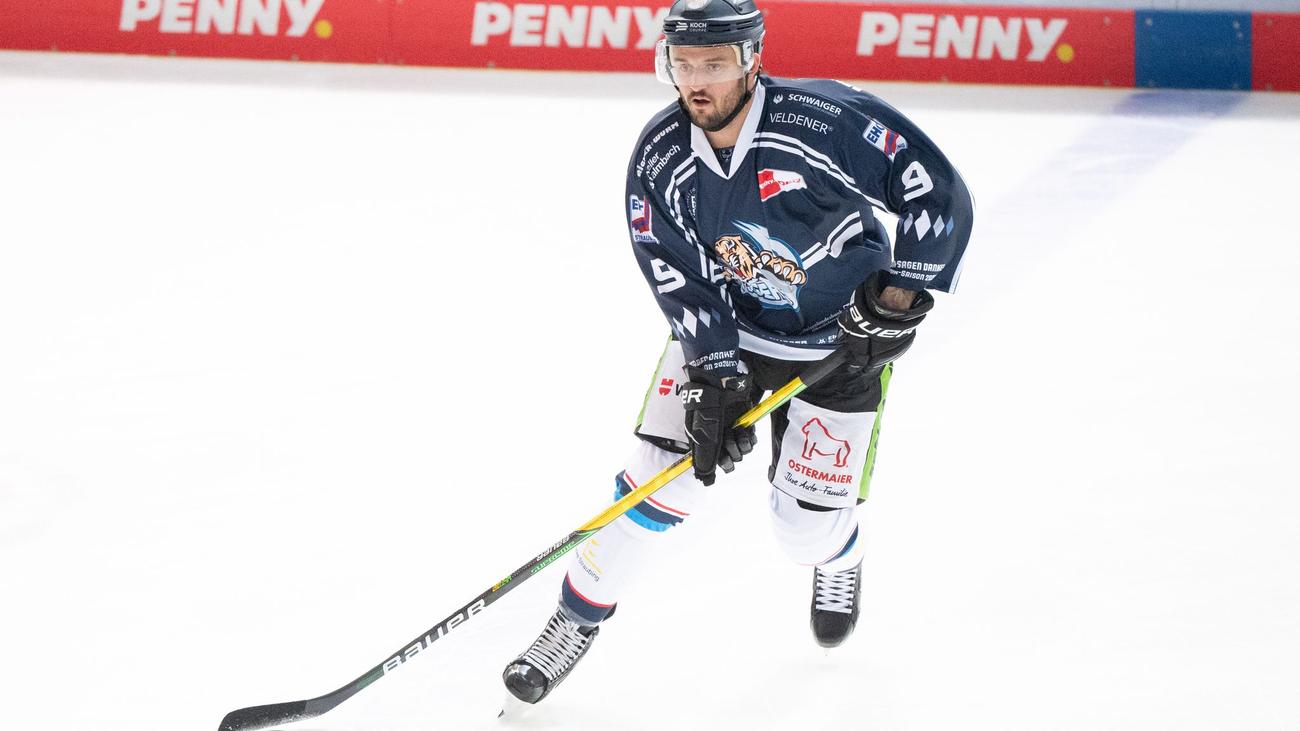 Deutsche Eishockey Liga: Straubing Tigers verlängern mit zwei Verteidigern