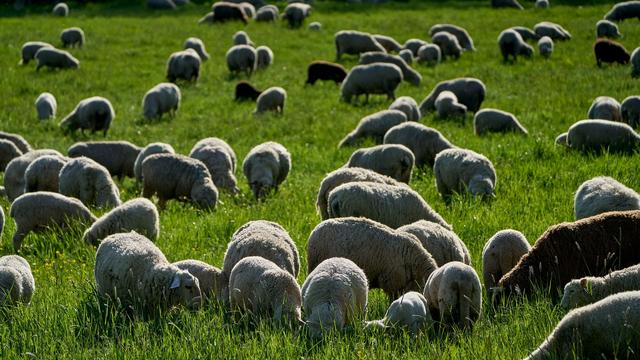 Vorhersage: Wetter beruhigt sich zum Wochenstart zunächst