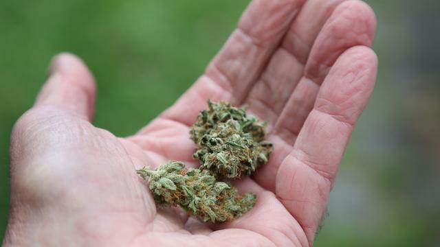 Versuchter Drogenschmuggel: 31 Kilo Marihuana? Zoll stoppt Verdächtigen bei Einreise