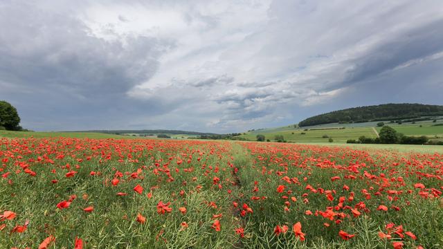 Vorhersage: Blitze und Donner, Starkregen und Hagel in Hessen möglich