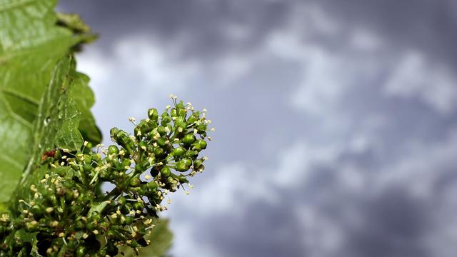 Wetterbericht: Wetter: Kurzes Zwischenhoch weicht Gewitterfront